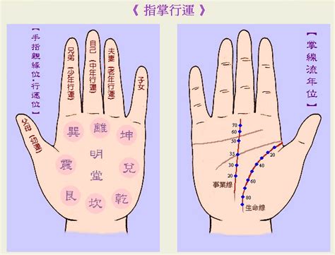 睇掌相|教你睇掌相嘅掌型！ 五行手相的外形和性格特徵解。